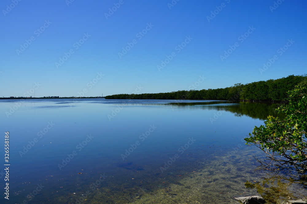 The landscape of Florida Palm Harbor beach