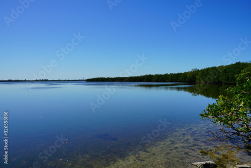 The landscape of Florida Palm Harbor beach
