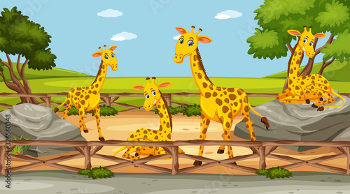 Scene with wild animals in the zoo at day time