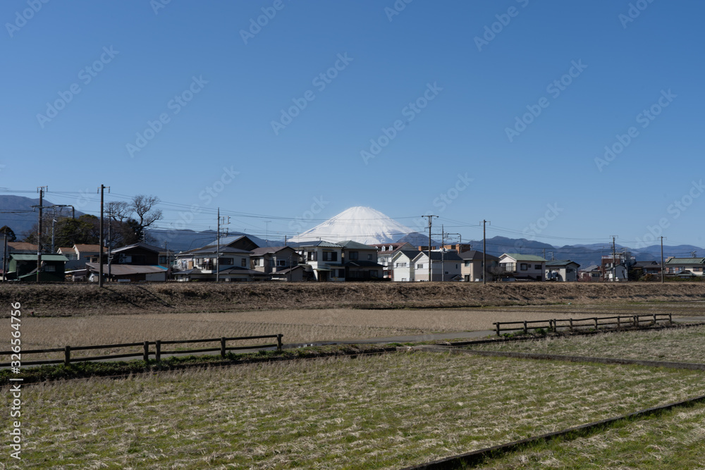 Fototapeta premium Mt.Fuji in winter over the rice field