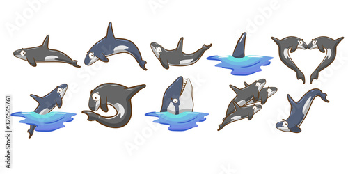 orca vector set collection graphic clipart design