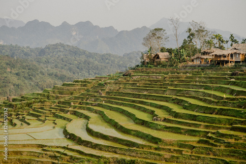 Reisfelder in Pu Luong, Vietnam photo