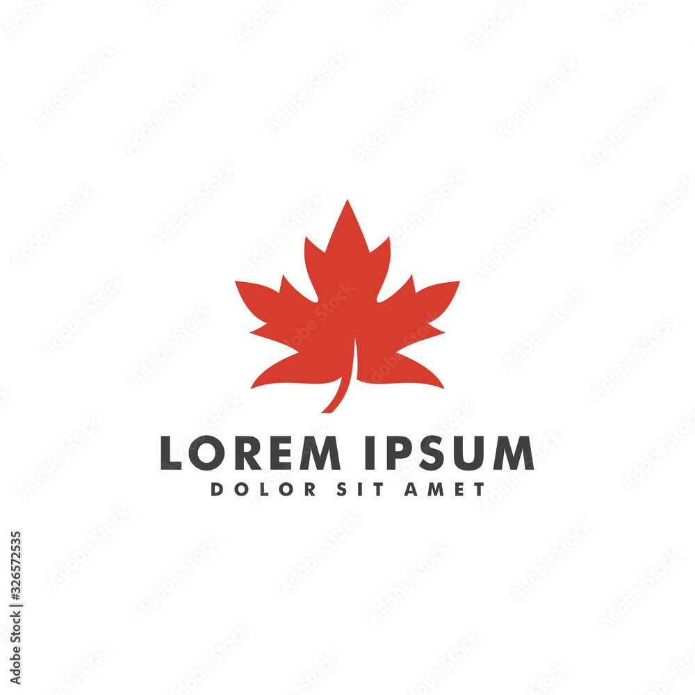 Maple leaf logo design vector illustration template