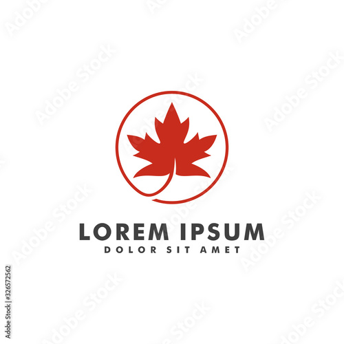 Maple leaf logo design vector illustration template