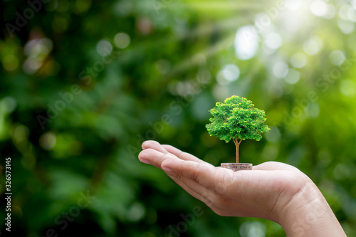 Planting small trees on coins in people's hands and green nature background, blur the concept of money and investment growth.