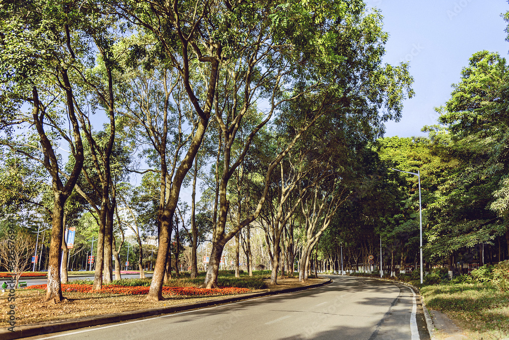 road in the park