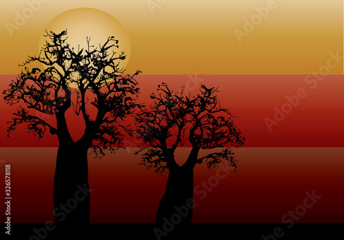 Boab tree with three different colors in the background of red yellow and orange