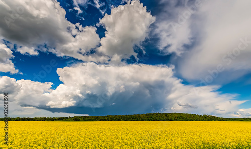Approaching thunderstorm to rapeseed field, concept of stormy weather and eco...