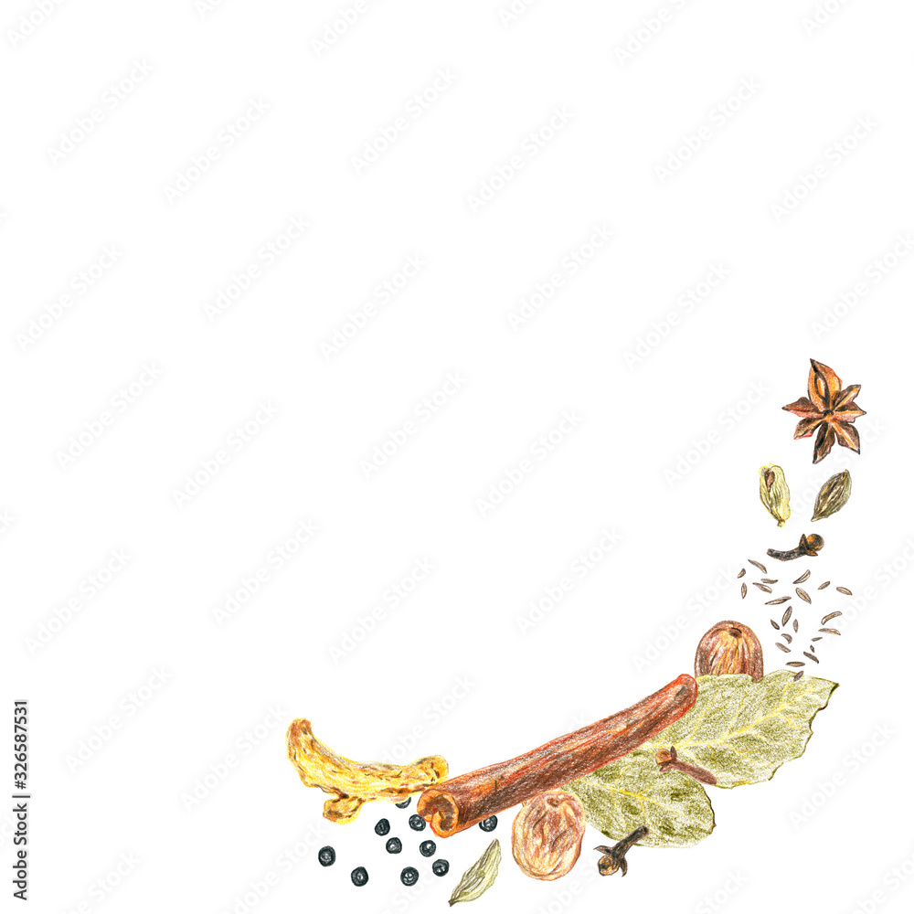 Fototapeta premium Frame and background with spices on a white background. Drawing with colored pencils.