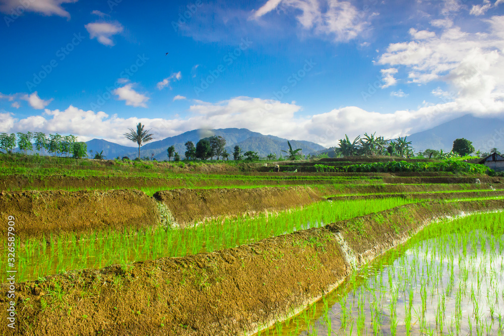 photo of rice fields with sloping terraces. sky reflection in the water with beautiful sky light
