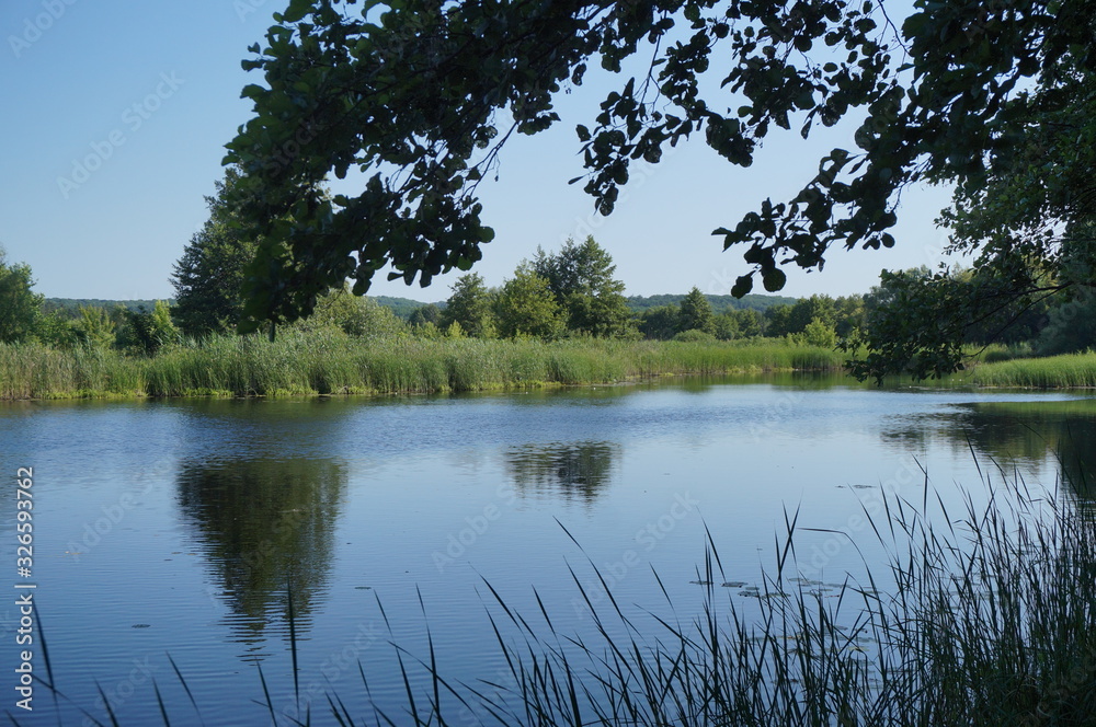 Obraz premium beautiful river view in summer morning