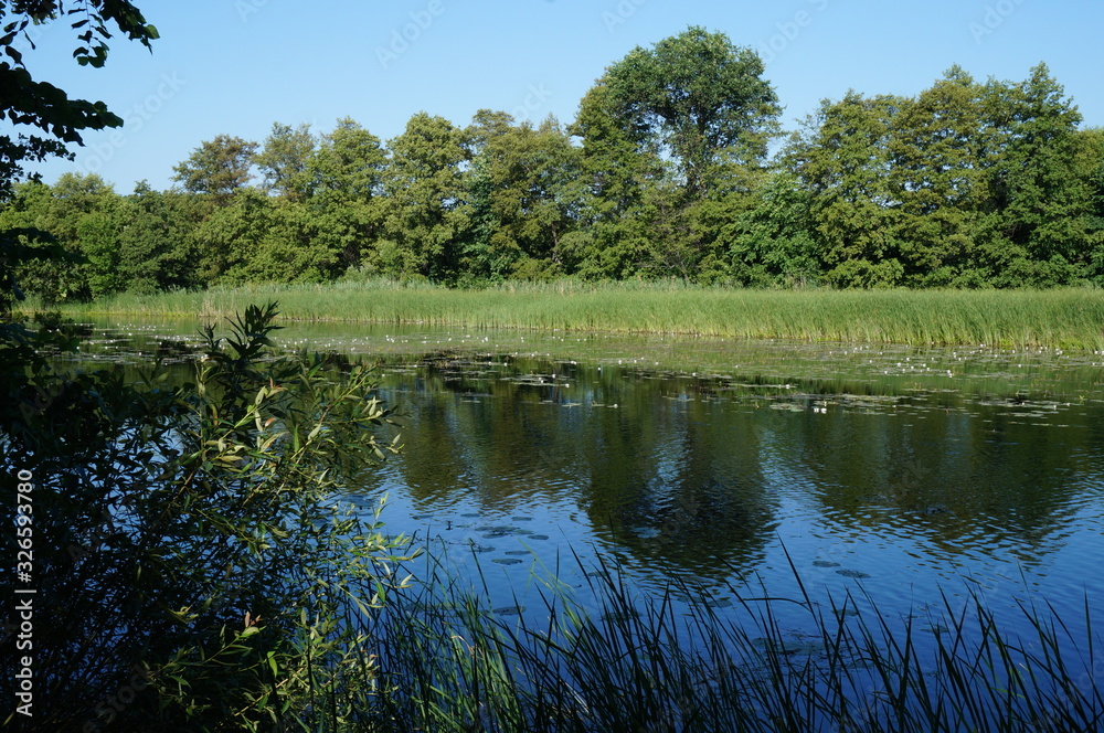 Fototapeta premium beautiful river view in summer morning