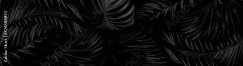 Vector horizontal banner with silver and black tropical leaves on dark background. Best as web banner 