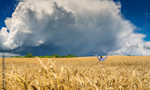 Agricultural countryside landscape with ripening field of wheat,  beautiful s...
