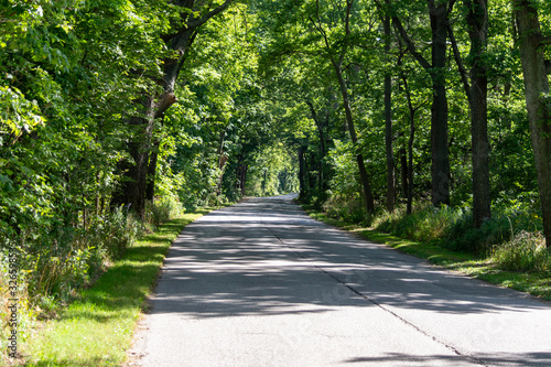 Road Winding Through a Green Tunnel of Trees on a Beautiful Sunny Day - Lots of Room for Text