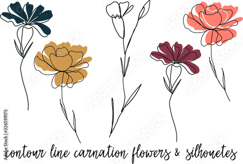 Carnation Flower one line contour drawing vector