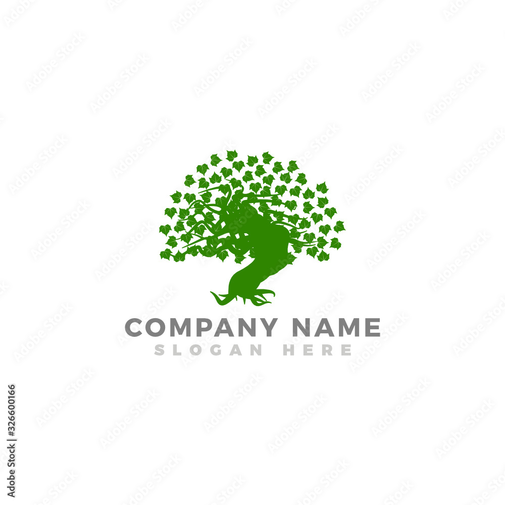 Modern vector Tree logo template