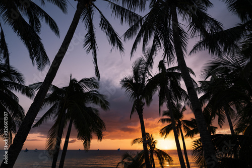  Selective focus  Stunning view of a dramatic sunset in the background and the silhouette of coconut palm trees in the foreground. White Beach  Boracay Island  Philippines.