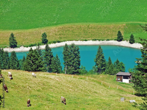 Gänglesee Lake (Ganglesee or Gaenglesee) on the Valünerbach (Valunerbach or Valuenerbach) stream and in the Saminatal alpine valley - Steg, Liechtenstein photo