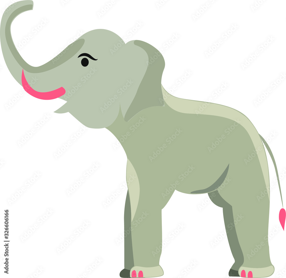 Obraz premium Elephant