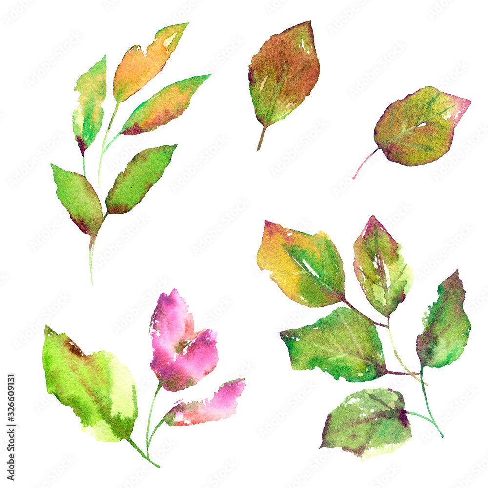 Fototapeta premium Drawing spring leaves. Isolated green leaves and pink flowers set. Watercolor leaves for card decor. Nature decorative elements. Natural biology elements. 