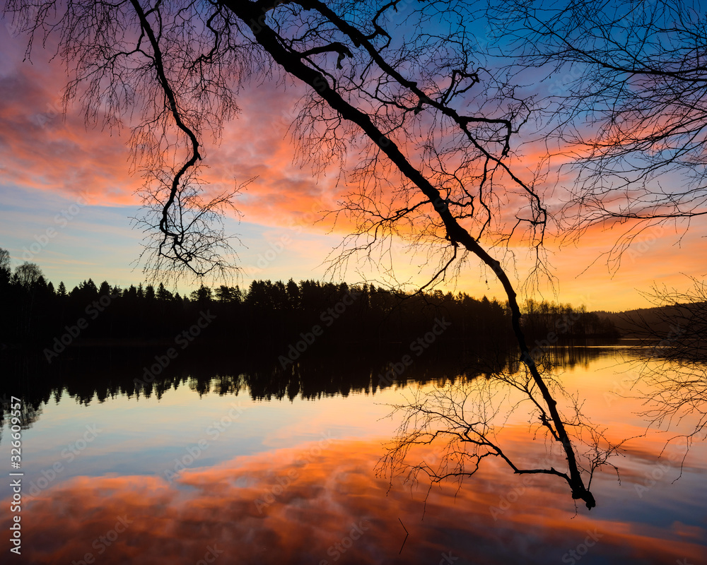 Silhouette of trees with dramatic sky during sunrise Silhouette of trees with dramatic sky during sunrise