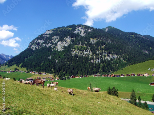 Cows on fertile alpine pastures in the fairytale valley of Saminatal and along the artificial lake Gänglesee (Ganglesee or Gaenglesee) - Steg, Liechtenstein photo