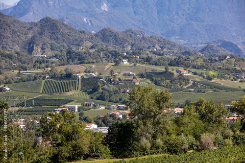 Picturesque hills with vineyards of the Prosecco sparkling wine region between Valdobbiadene and Conegliano; Italy.