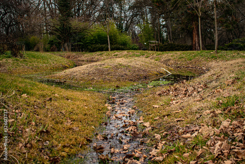 path in the forest