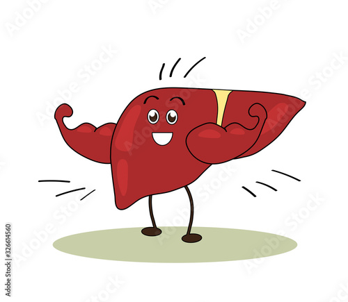 Happy strong liver on a white background. Cartoon. Vector illustration.