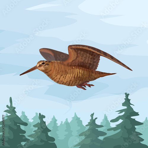 Realistic wooscock isolated in forest sandpiper flying forest bird vector animal
