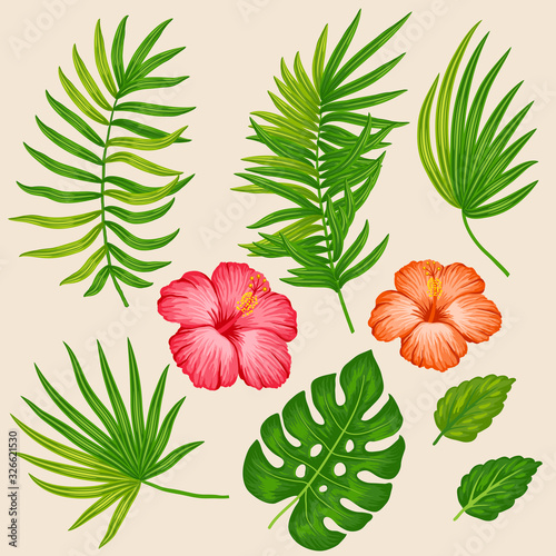 Large hand drawn watercolor tropical plants set