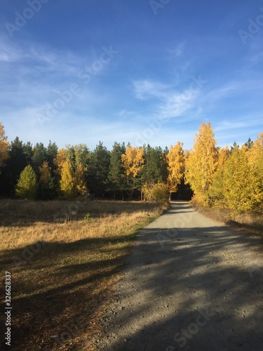 road in autumn