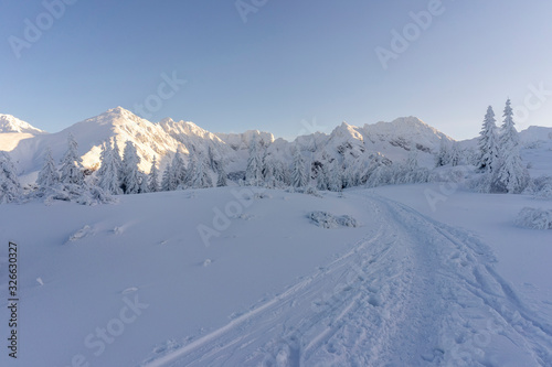 Mountain trail in the snow. Tatry. Poland. © Jacek Jacobi