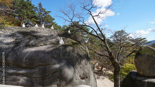 Many small white statues of the Buddha on a rock in the autumn forest in Seoraksan national park  mount Sorak  Sokcho  South Korea.