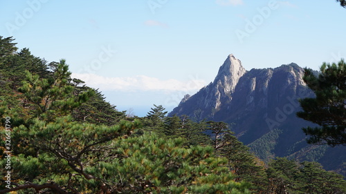 Autumn forest and mountain in Seoraksan National Park, Sokcho in South Korea.	
