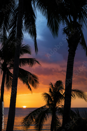  Selective focus  Stunning view of a dramatic sunset in the background and the silhouette of coconut palm trees in the foreground. White Beach  Boracay Island  Philippines.