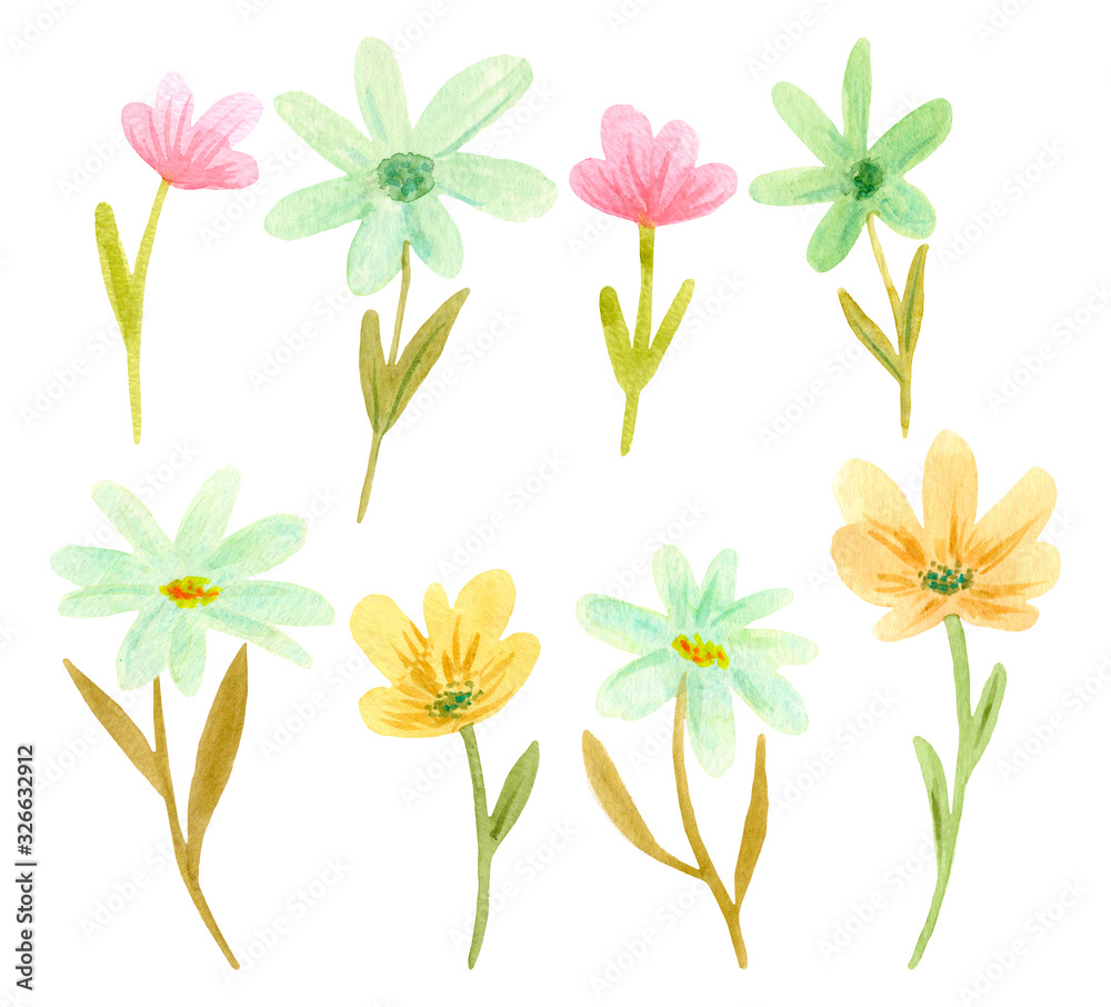 Set of watercolor wildflowers isolated on white background.