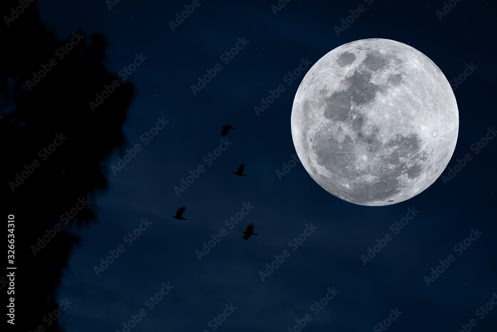 Naklejka premium Full moon with silhouette tree and bird on blue sky.