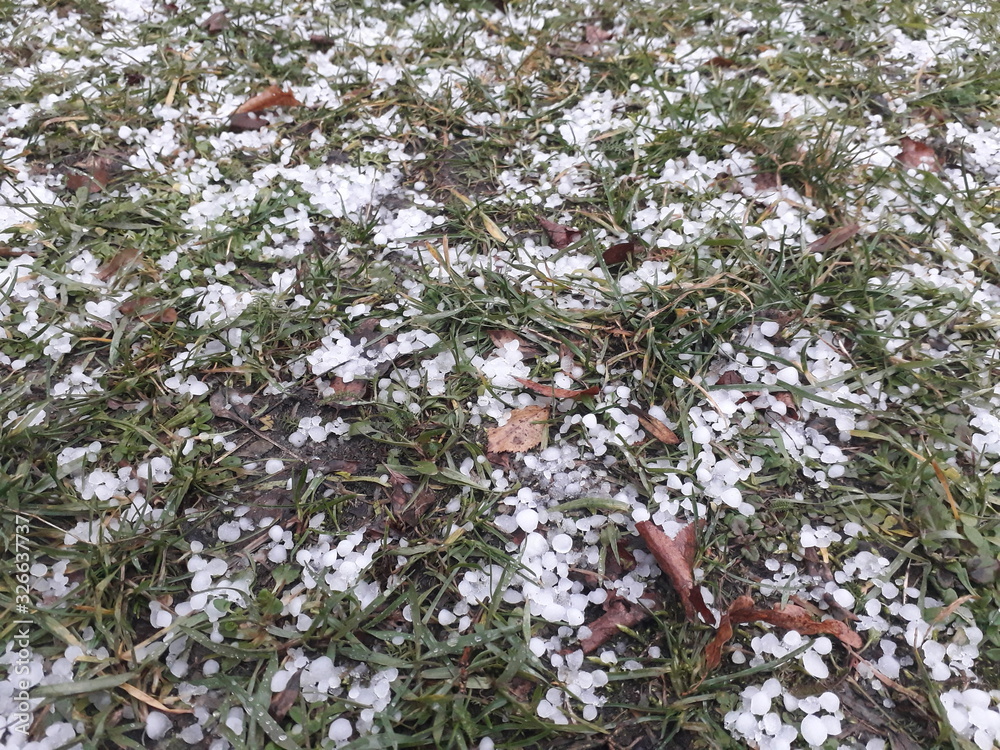 White hail on green grass