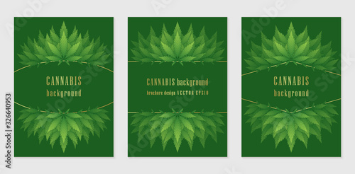 Vector set of cover design template with wonderful frame or border of cannabis leaves; Contrast green backgrounds with golden elements and green summer plants for products and printing with marijuana.
