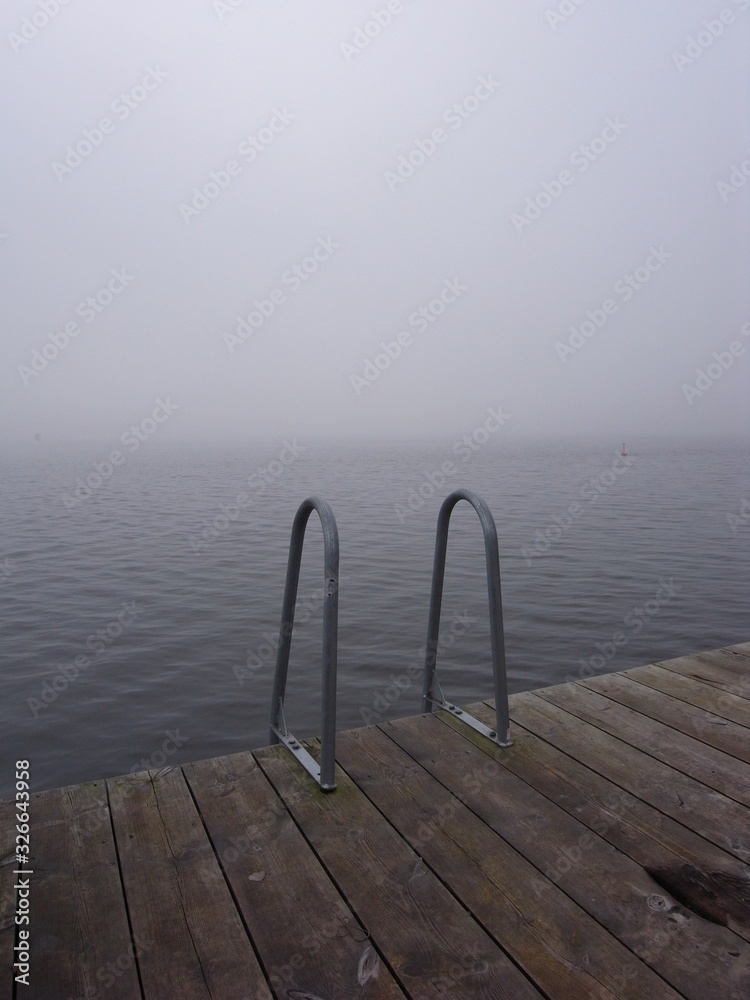 Fototapeta premium swimming ladder by the lake on a misty day