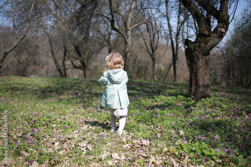  A little girl walks in the spring botanical garden with an apple in her hands and eats it where the primroses bloomed