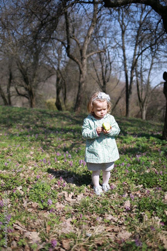 A little girl walks in the spring botanical garden with an apple in her hands and eats it where the primroses bloomed A little girl walks in the spring botanical garden with an apple in her hands and eats it where the primroses bloomed