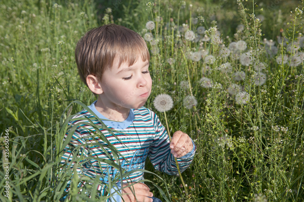 Kid blowing dandelion outdoor on green. Close-up portrait Kid blowing dandelion outdoor on green. Close-up portrait