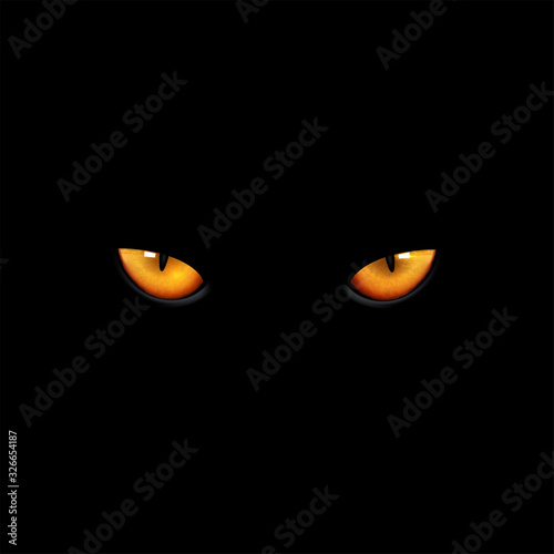 Eyes cat on black background, vector and illustration. © Adchariya