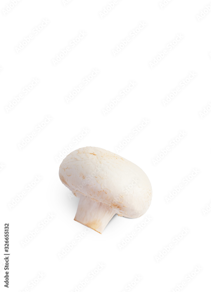 Champignon mushrooms close-up isolated on a white background. Champignon mushrooms close-up isolated on a white background.