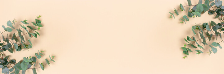 Banner with eucalyptus branches on a yellow pastel background. Place for text.