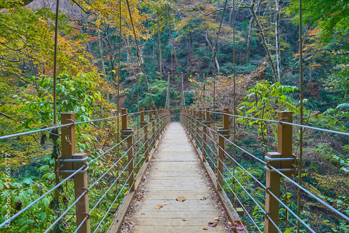 日本の東京八王子市 秋の高尾山の吊り橋(みやま橋)