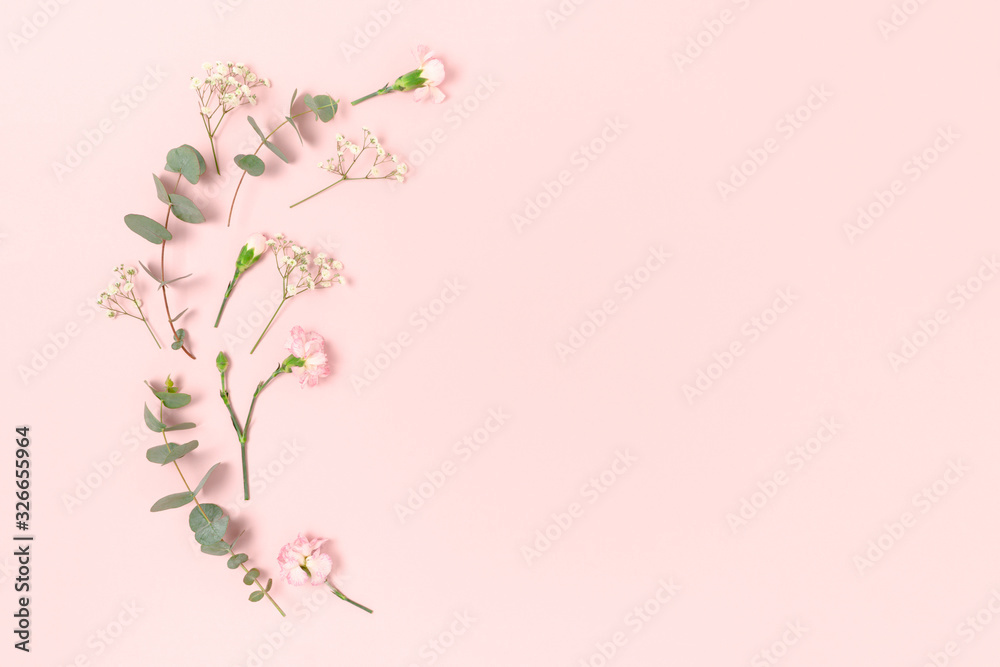 Frame made of gypsophila, carnation flowers and eucalyptus. Floral composition on a pink pastel background.